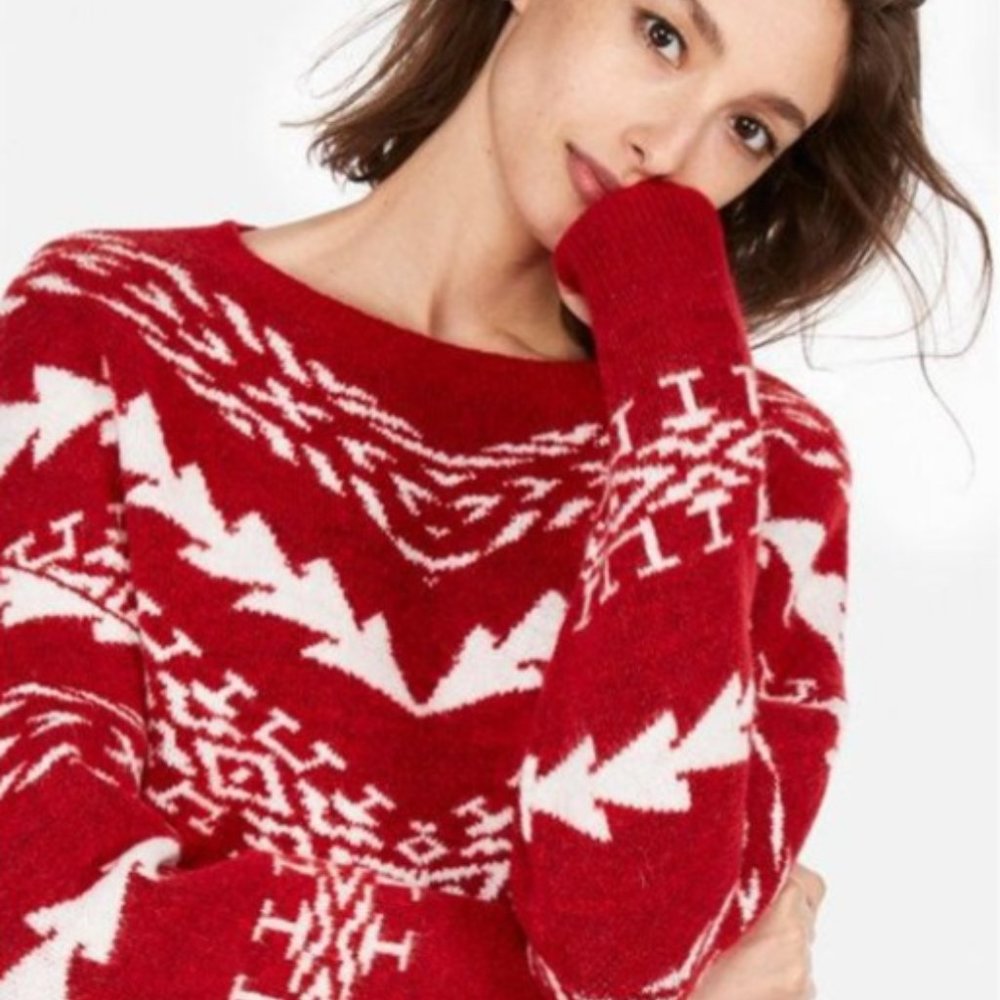 Express Red And White  Cropped Pullover Sweater